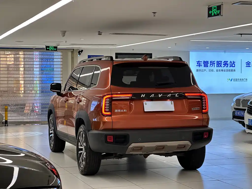 Haval Big Dog 2021 — фото 7