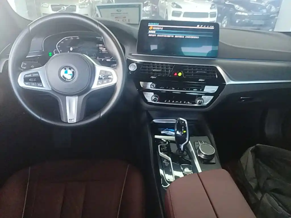 BMW 5 Series New Energy 2021 — фото 10