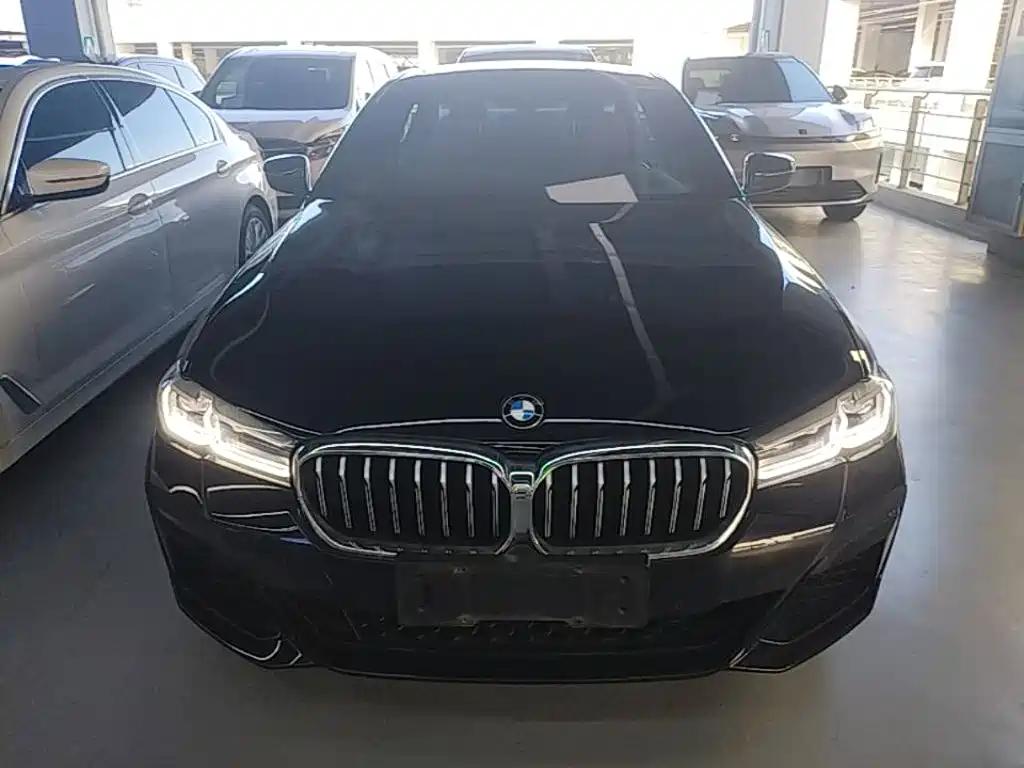BMW 5 Series New Energy 2021 — фото 3