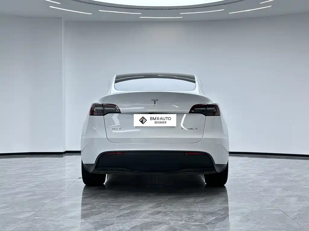 Tesla Model Y 2024 — фото 6
