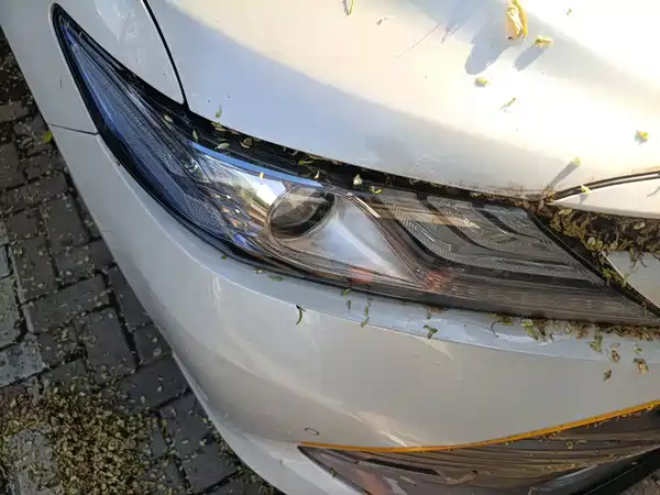 Toyota Camry 2020