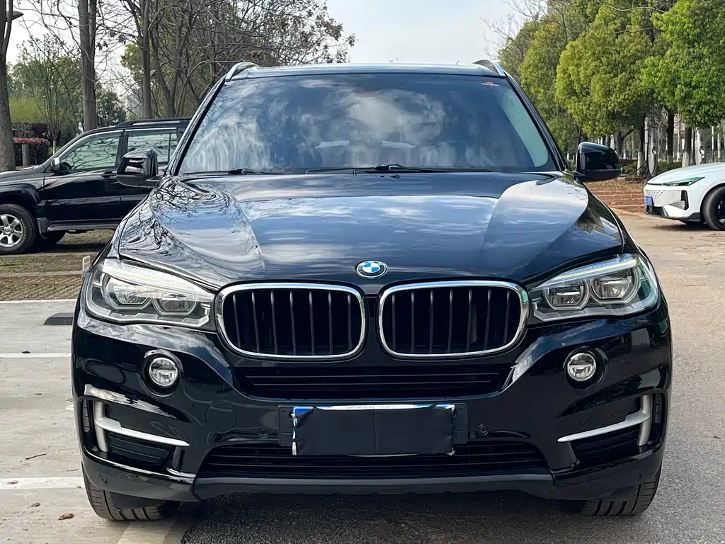 BMW X5 2015 — фото 2