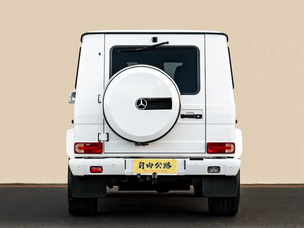 Mercedes-Benz G-Class AMG 2015 — фото 5