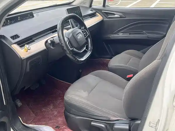 Neta V 2020