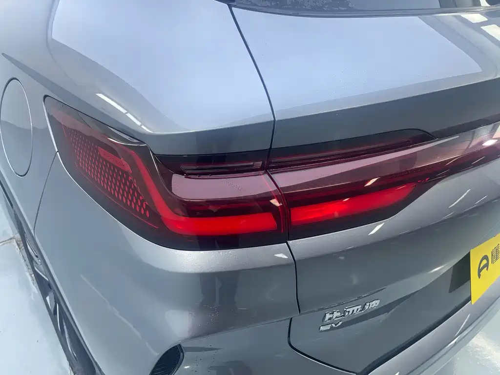 BYD Song PLUS New Energy 2024 — фото 12