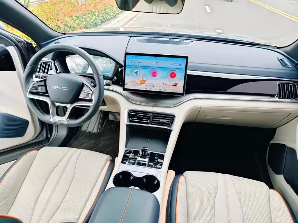 BYD PLUS New Energy 2024 — фото 12