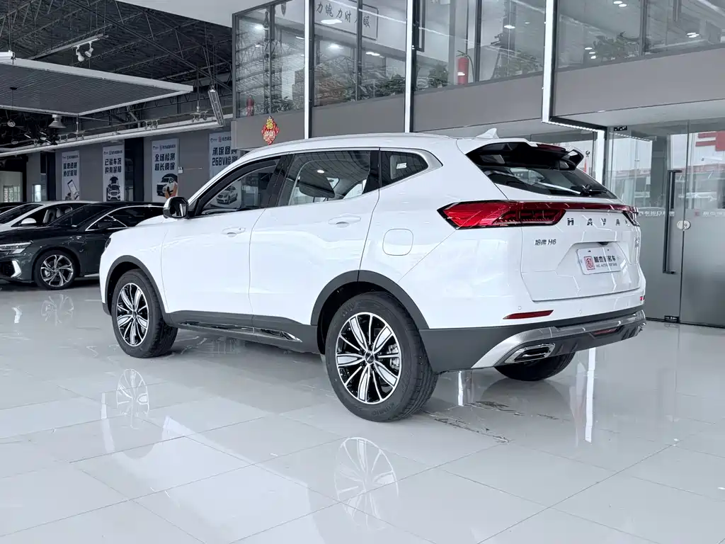 Haval H6 2023 — фото 13