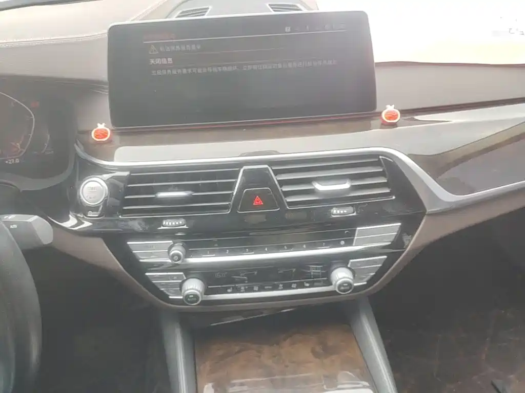 BMW 5 Series 2020 — фото 13