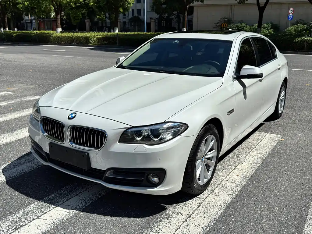 BMW 5 Series 2014 — фото 1