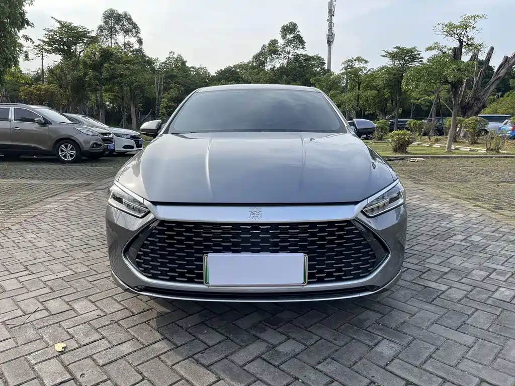 BYD Qin PLUS 2024 — фото 2