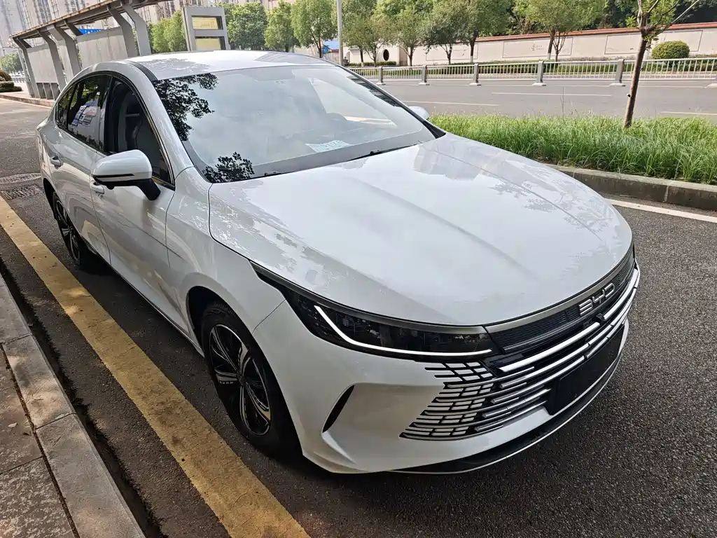 BYD Destroyer 05 2024 — фото 3