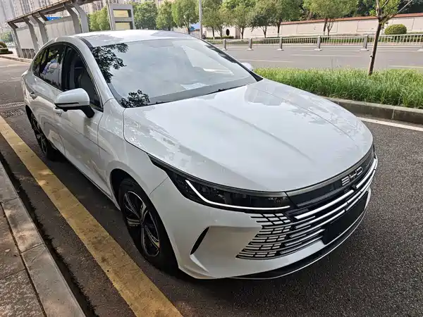 BYD Destroyer 05 2024