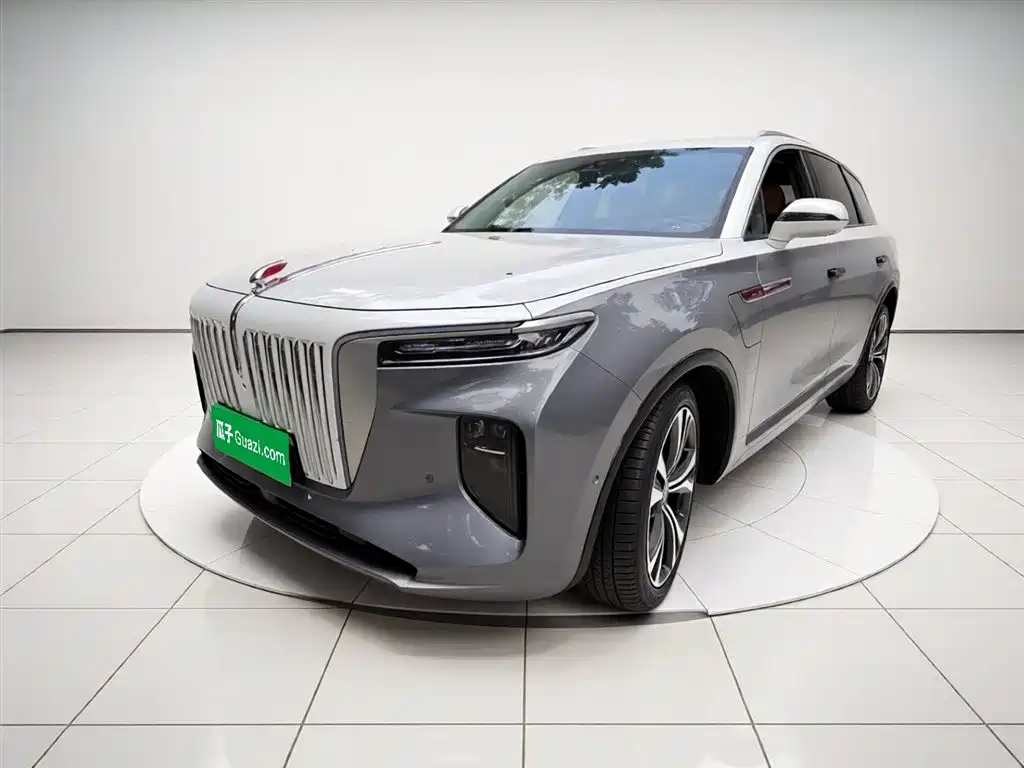 Hongqi E-HS9 2021