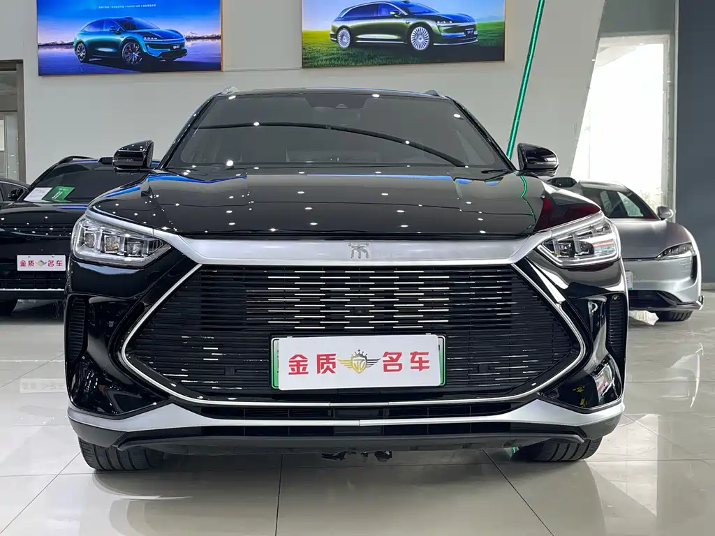 BYD PLUS New Energy 2023 — фото 2