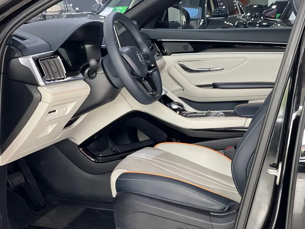 BYD PLUS New Energy 2023 — фото 14