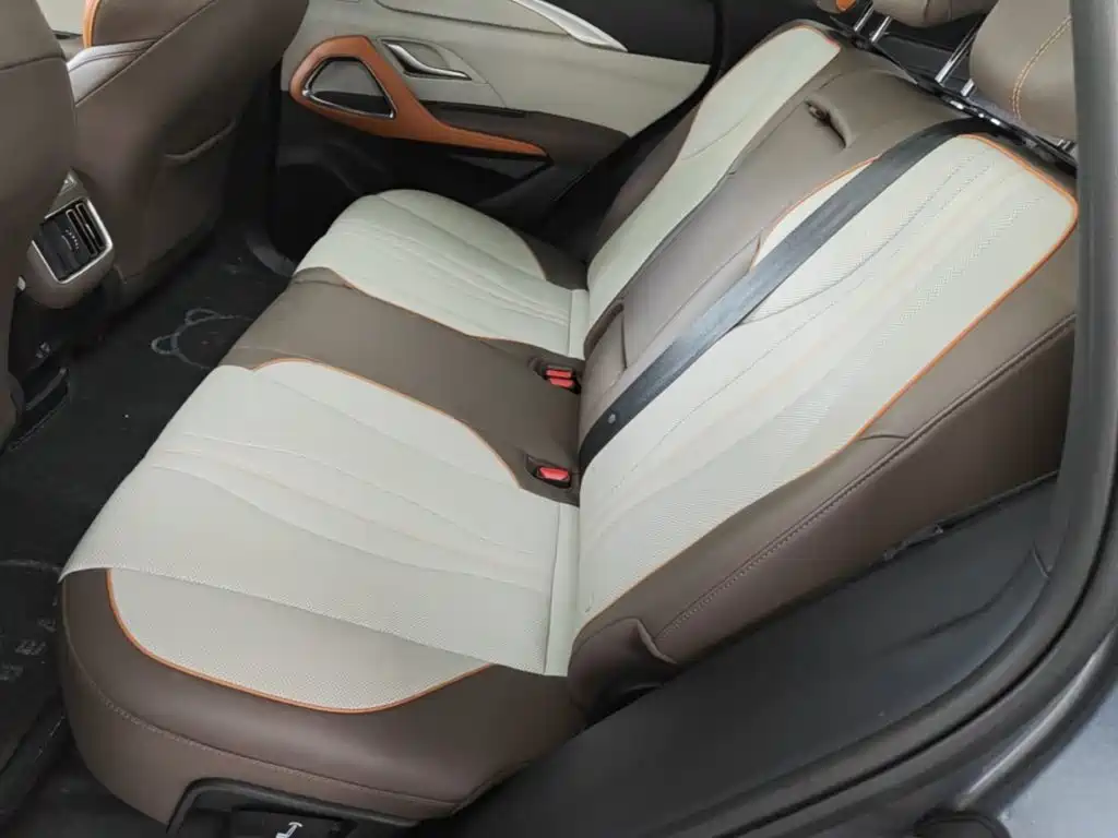 BYD Song Pro New Energy 2023 — фото 17