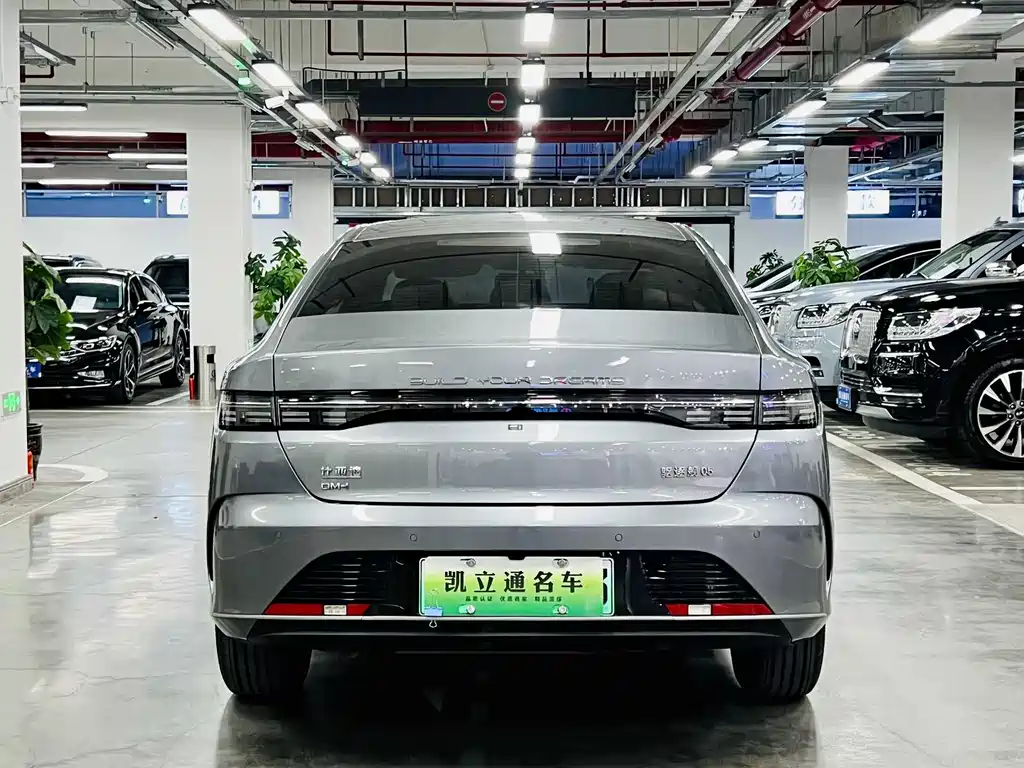 BYD Destroyer 05 2025 — фото 5