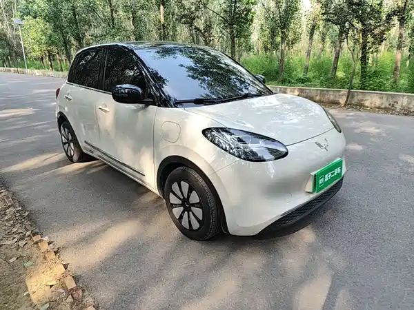 Wuling Bingo 2024