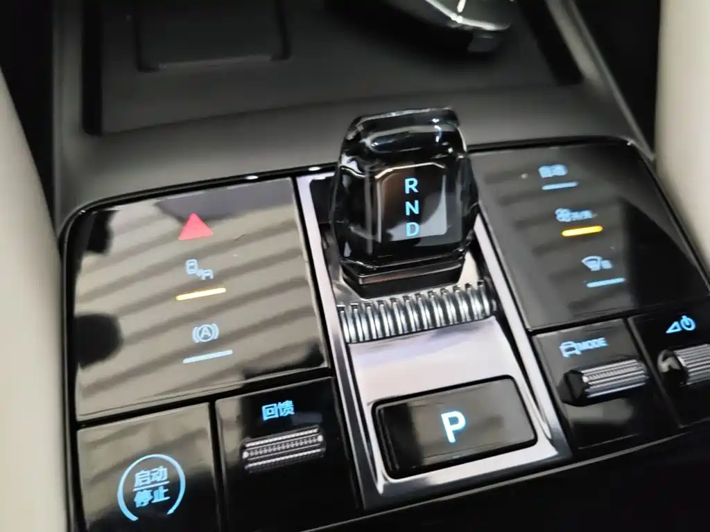 BYD Song PLUS New Energy 2024 — фото 14