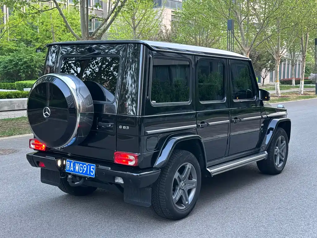 Mercedes-Benz G-Class 2016 — фото 4