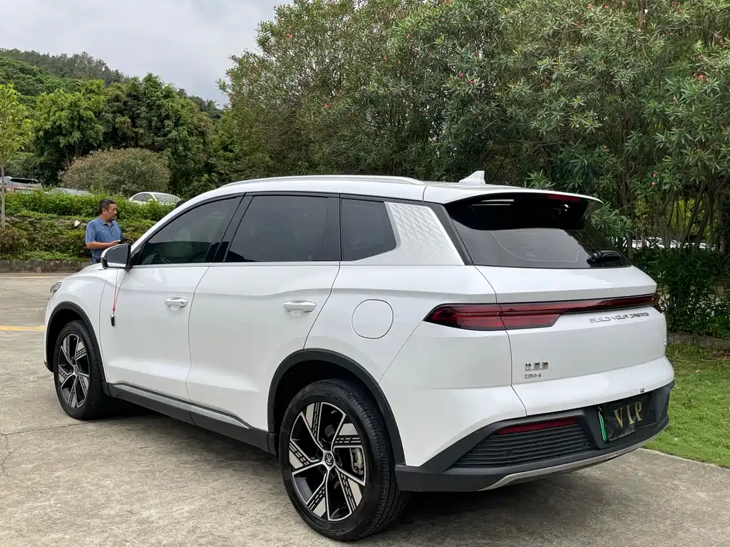 BYD Pro New Energy 2024 — фото 16