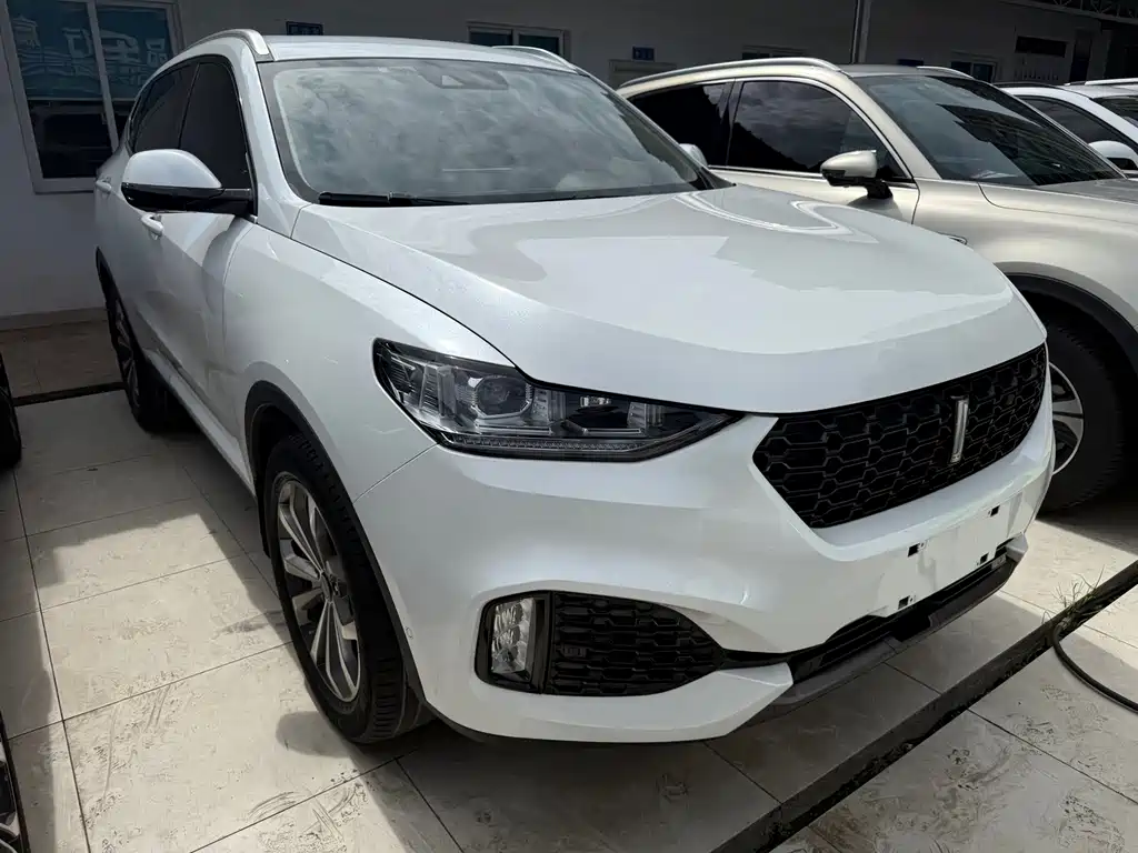 Wey VV6 2019