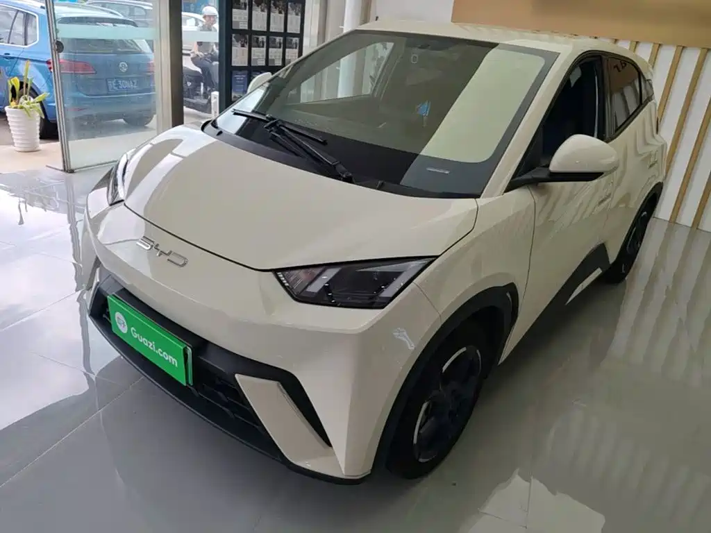 BYD Seagull 2024