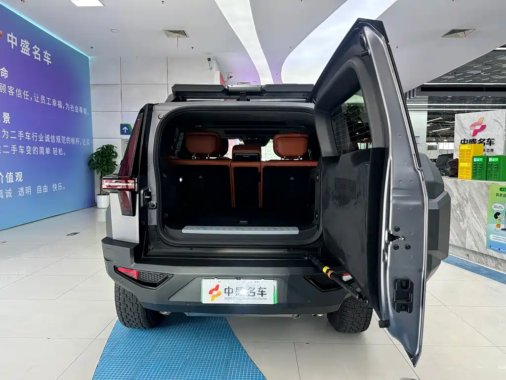 Mengshi 917 2026