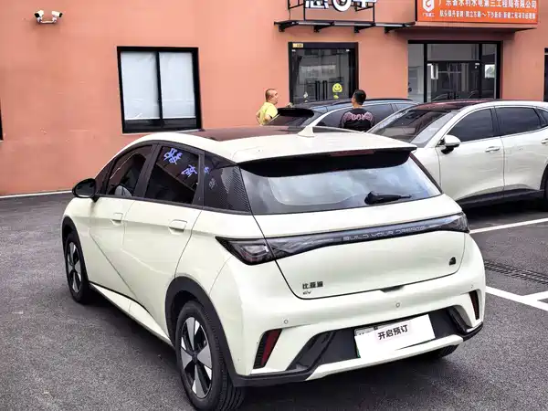 BYD Dolphin 2023