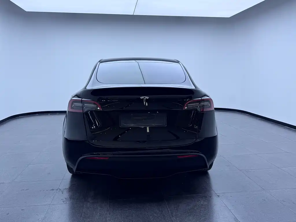 Tesla Model Y 2023 — фото 4