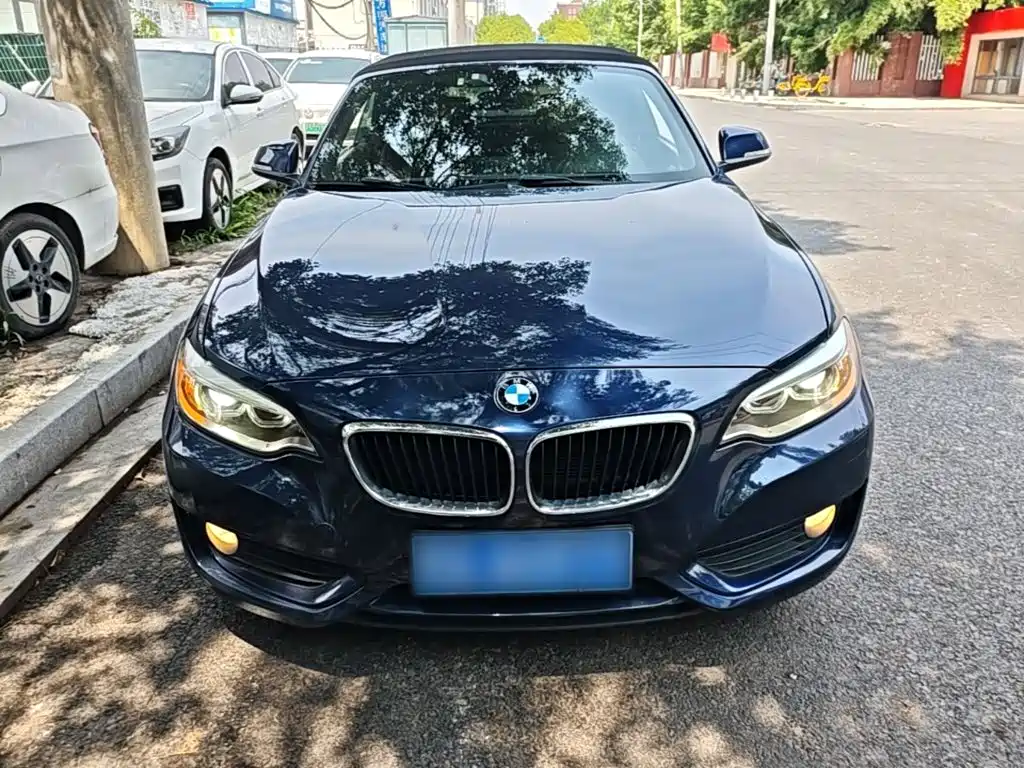 BMW 2 Series 2017