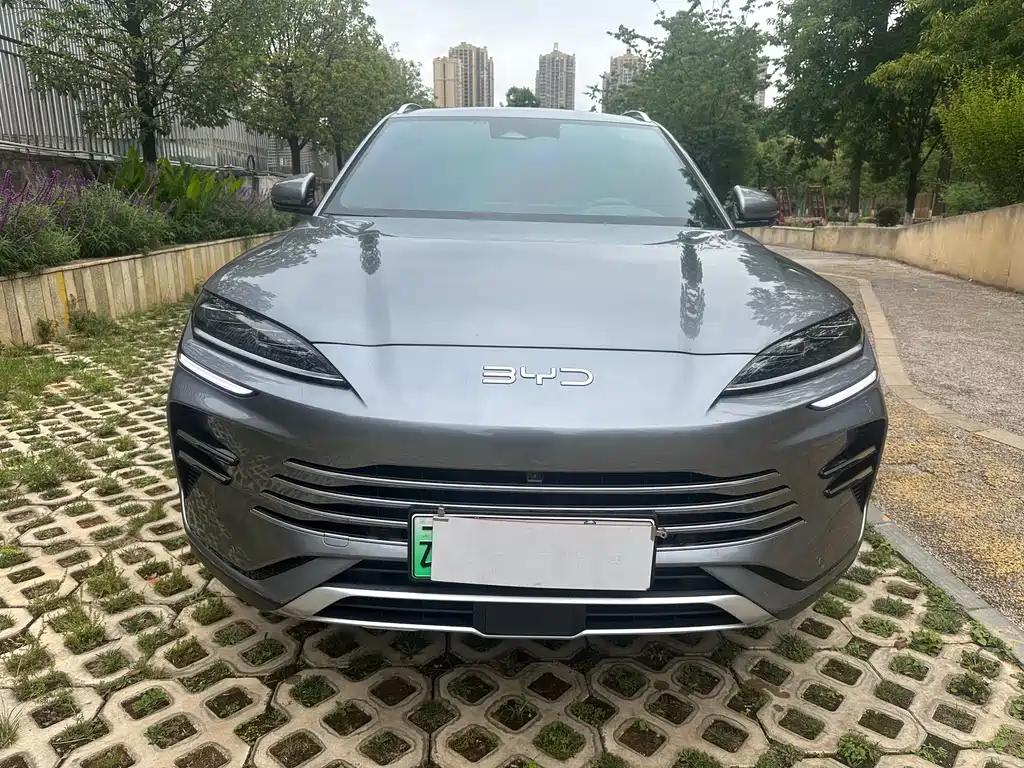 BYD PLUS New Energy 2024 — фото 2