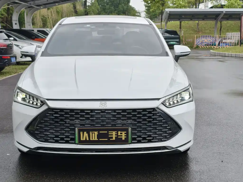 BYD Qin PLUS 2022 — фото 2