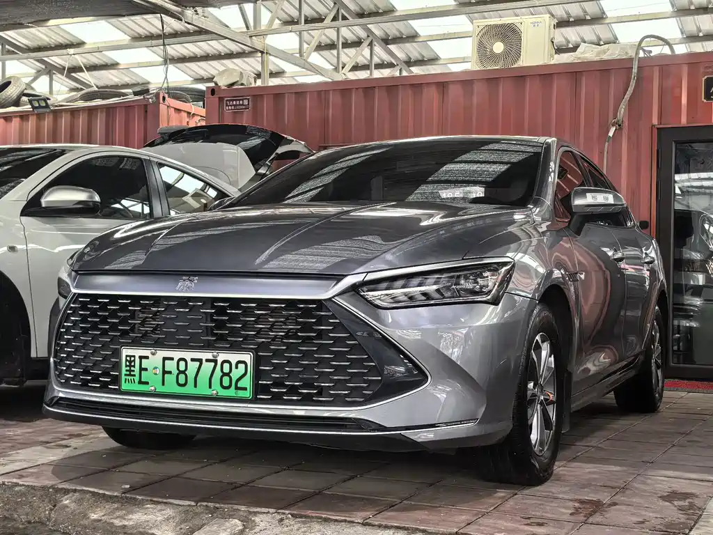 BYD Qin PLUS 2024 — фото 2