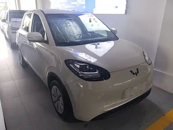 Wuling Bingo 2024