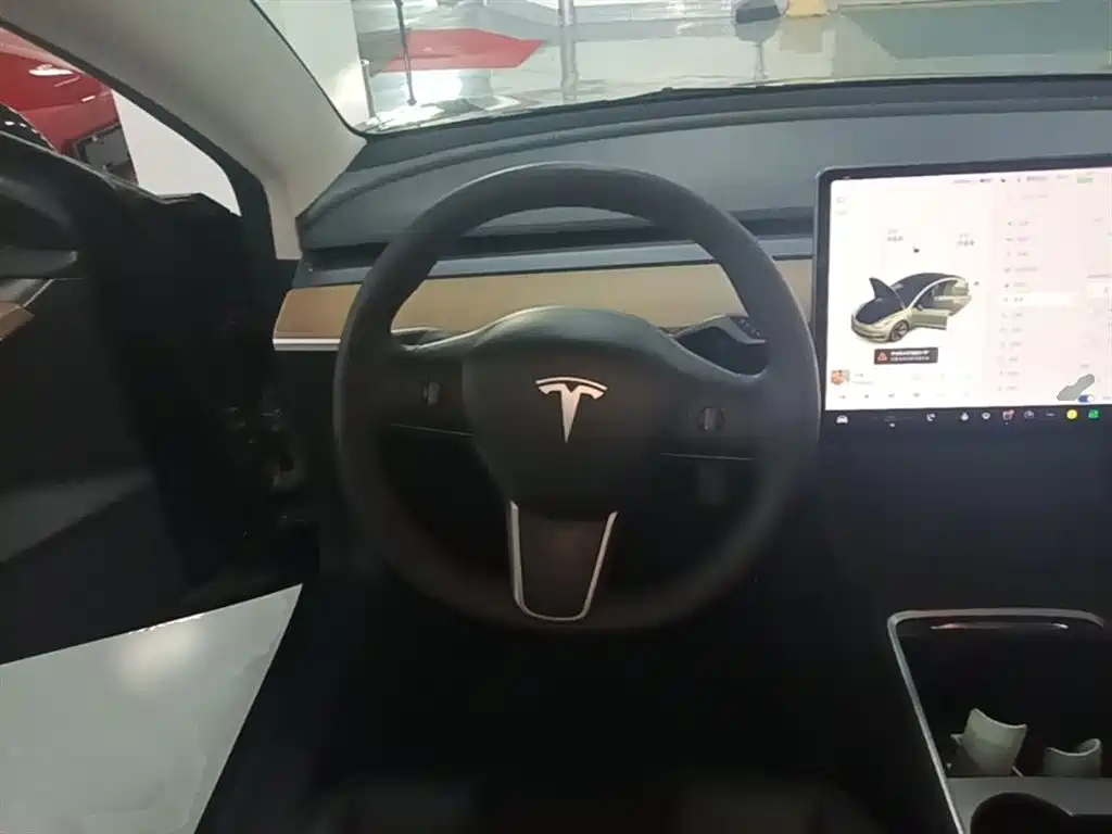 Tesla Model 3 2021 — фото 11