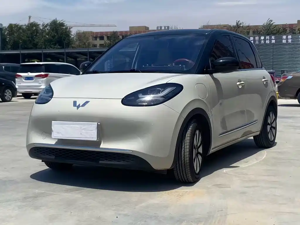 Wuling Bingo 2024