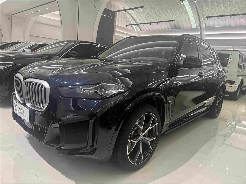 BMW X5 2025