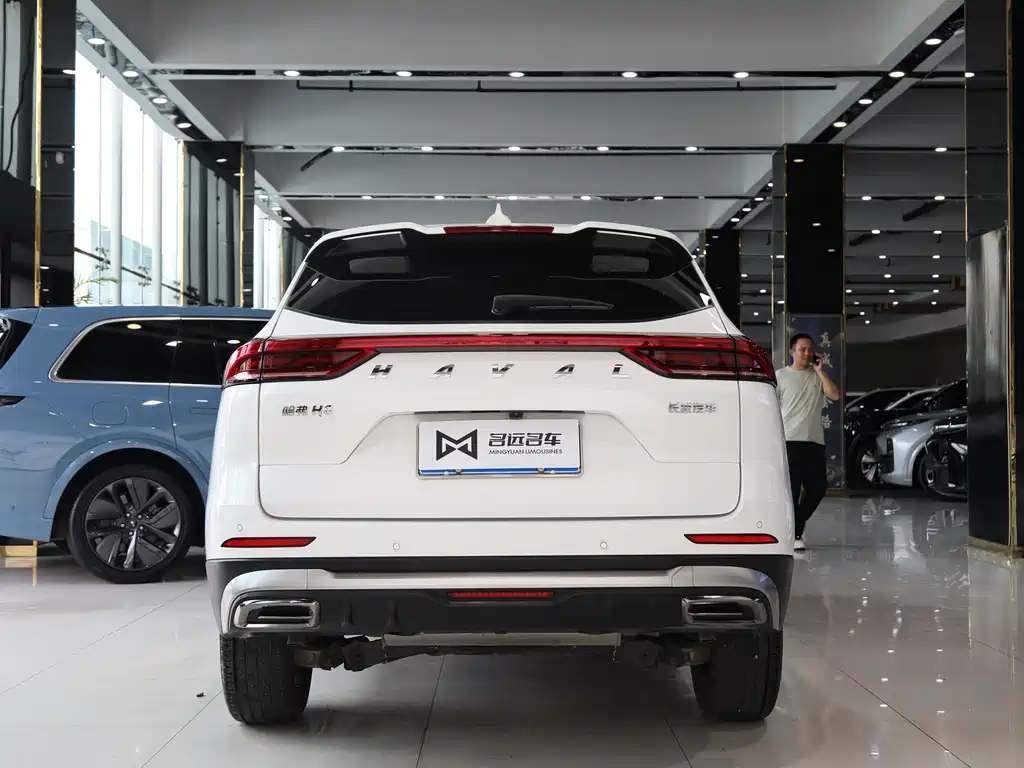 Haval H6 2023 — фото 16