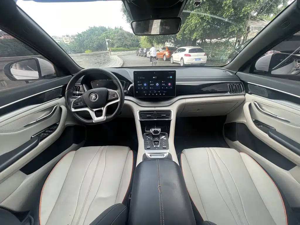 BYD PLUS New Energy 2023 — фото 12