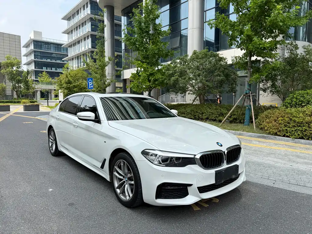 BMW 5 Series 2019