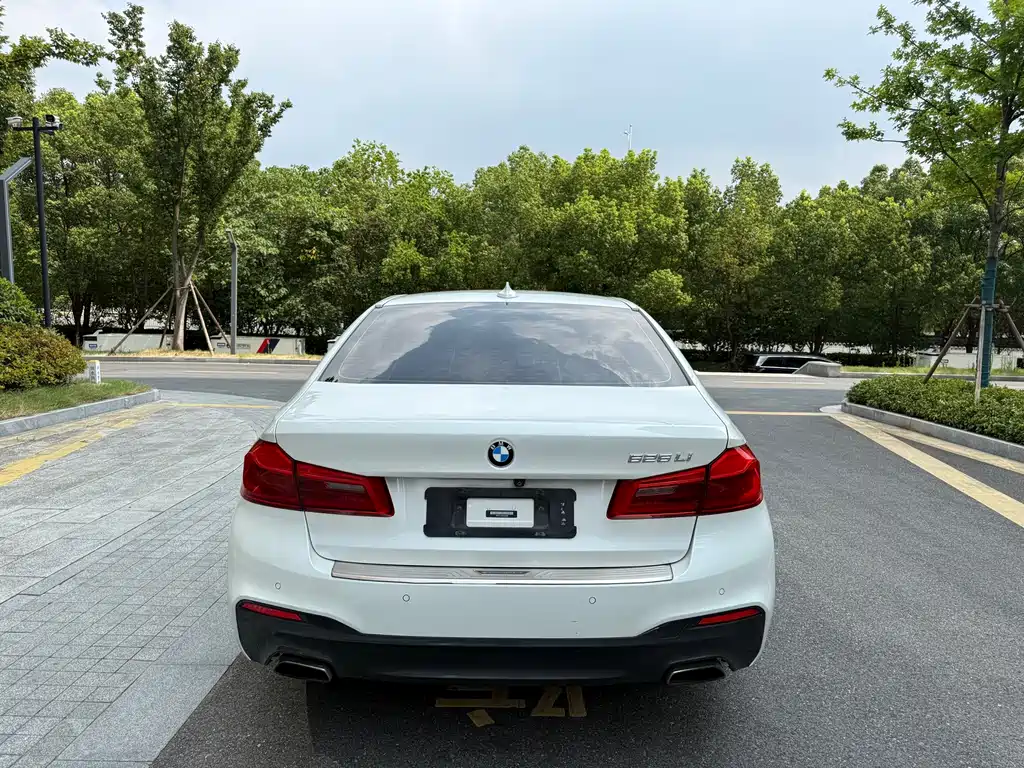 BMW 5 Series 2019