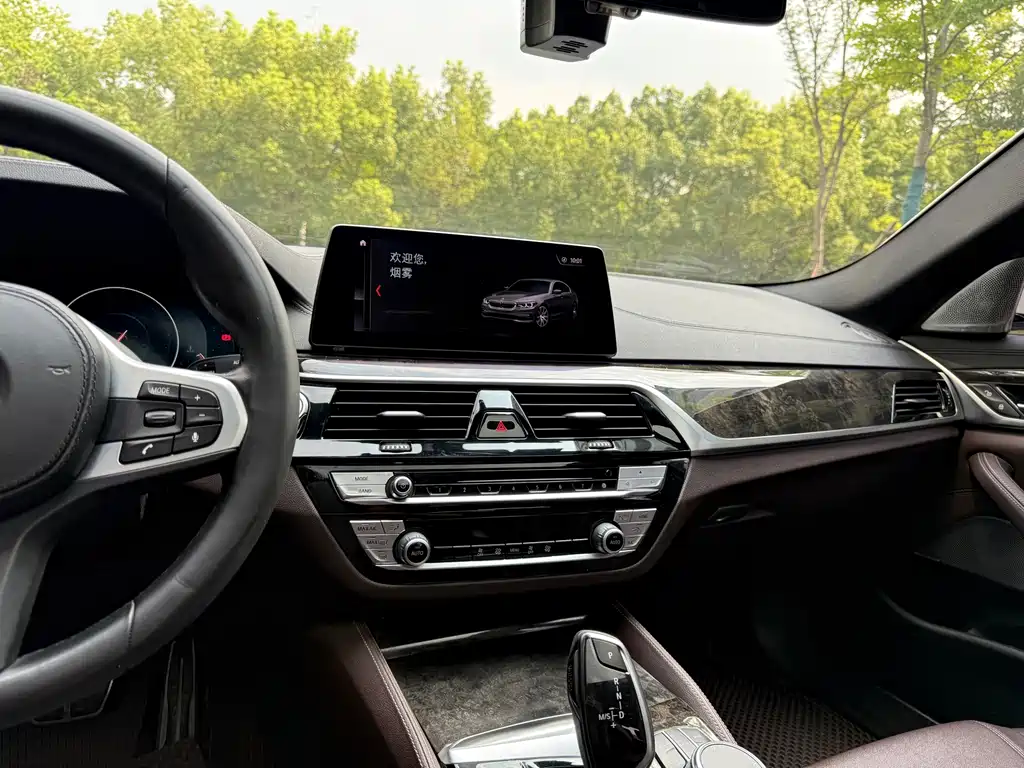 BMW 5 Series 2019 — фото 13