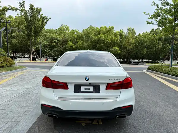 BMW 5 Series 2019