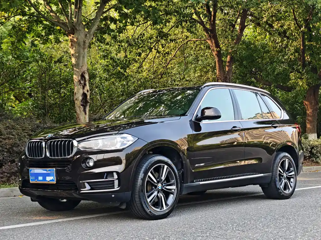 BMW X5 2017