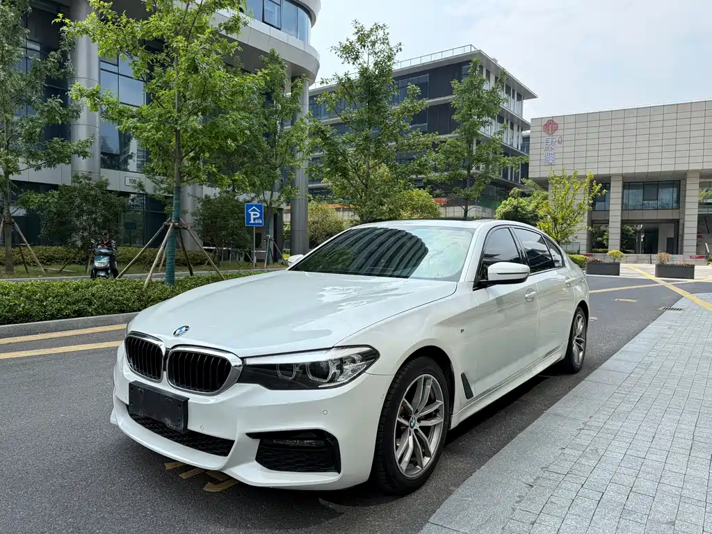 BMW 5 Series 2019