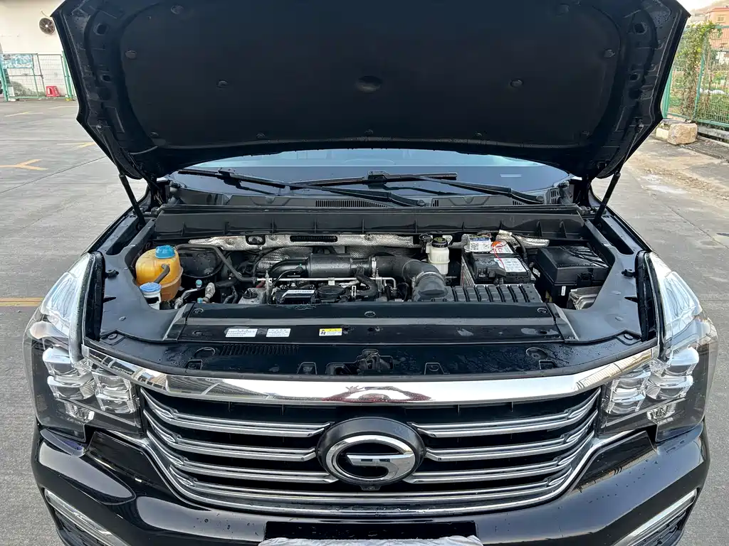 GAC Motor Trumpchi GS8 2019 — фото 18