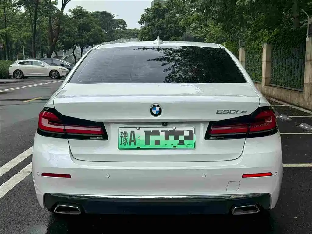 BMW 5 Series New Energy 2020