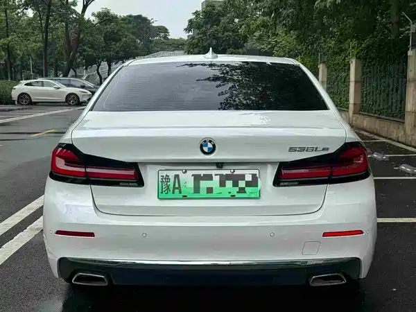 BMW 5 Series New Energy 2020