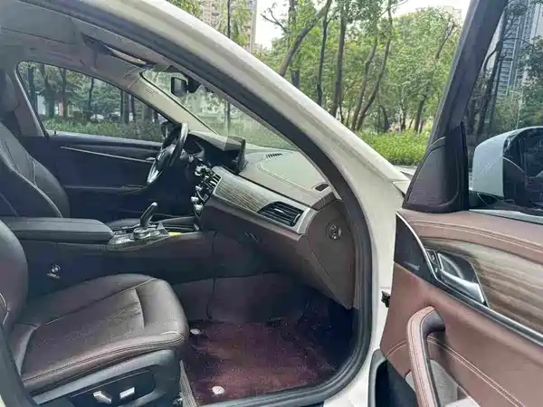 BMW 5 Series New Energy 2020